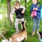 Biesiada u króla Jana